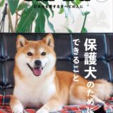 雑誌「Shi-Ba」に掲載されました！