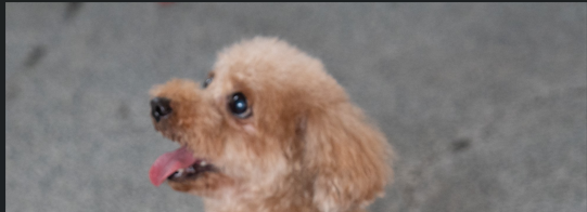 ぺこ