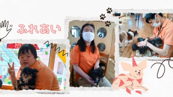 キズナには「動物と触れ合える日」があります♪(なんと爬虫類も!?)