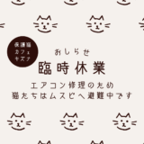 【大切なお知らせ】エアコン修理に伴う保護猫カフェ臨時休業と猫たちの移動について
