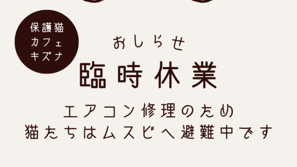 【大切なお知らせ】エアコン修理に伴う保護猫カフェ臨時休業と猫たちの移動について