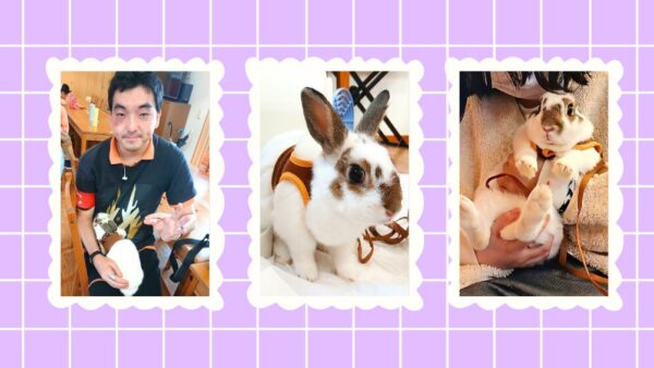【定期交流会】うさぎのバニラちゃん登場！ほっこり笑顔があふれた一日🐰✨